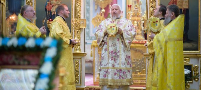 Божественную литургию в Петро-Павловском кафедральном соборе г.Гомеля